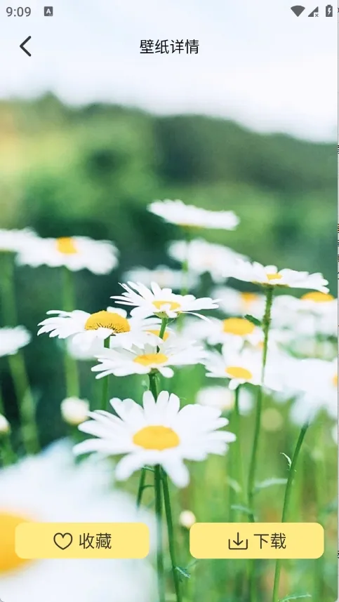 �Ⱦޱ�ֽ(��ֽ��������)v1.1 �ֻ����ͼ0