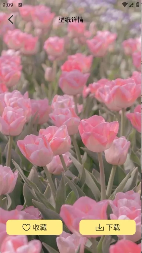 �Ⱦޱ�ֽ(��ֽ��������)v1.1 �ֻ����ͼ1