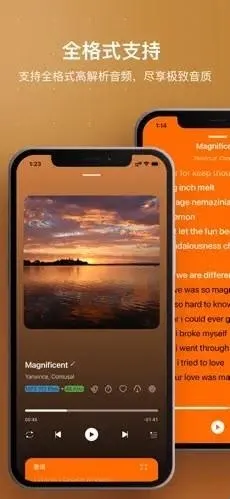 HiFier��������(���ֲ��Ź���)