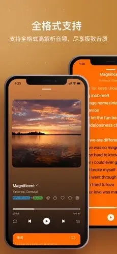 HiFier��������(���ֲ��Ź���)v1.0 �ٷ������ͼ3