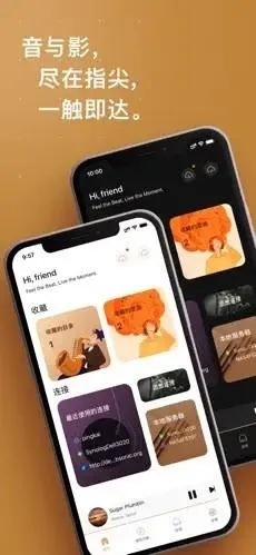 HiFier��������(���ֲ��Ź���)