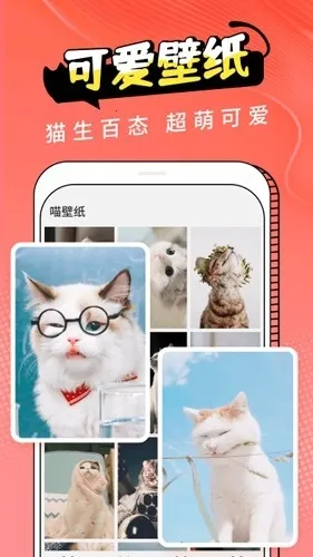 Cat Translation(è�﷭�빤��)v3.1.5 �ֻ����ͼ4