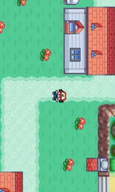 �ڴ����֣�ʥ�Һ����������ֻ���v2021.04.01.10 �ֻ����ͼ2