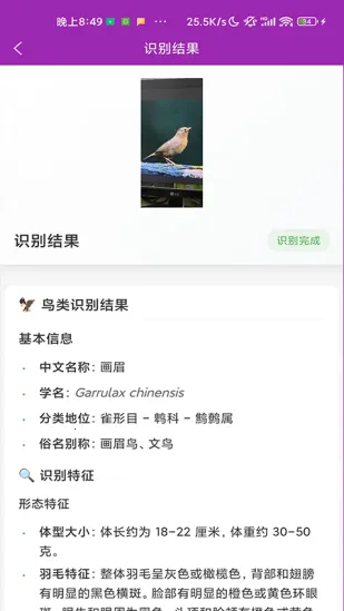 ʶ��(����ʶ�𹤾�)v1.1.0 �ٷ������ͼ0