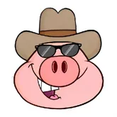 �˽�������2026�ٷ�����v1.0.0 �ֻ���