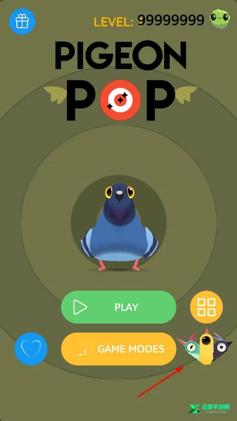 pigeon���ĸ���