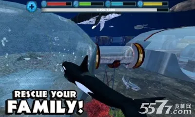 虎鲸模拟器安卓版手机版v1.2.5 安卓版截图2