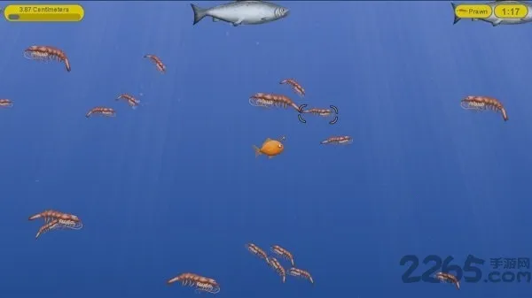 美味海洋鲨鱼版v1.5.7 官方正版截图2