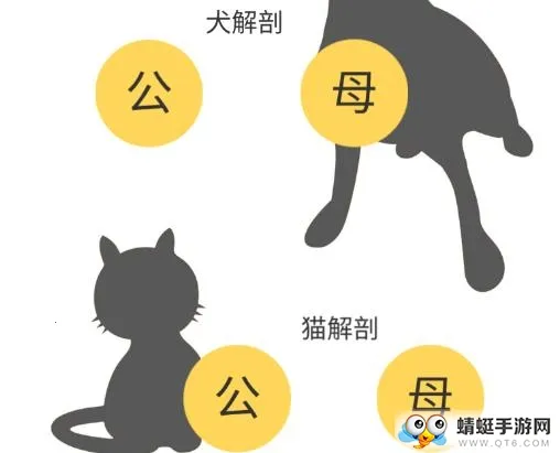 3dbody�������app