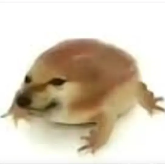 �ҵĵ���2026���ذ�װv1.0 ��Ѱ��ͼ0