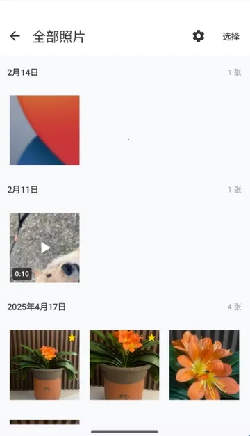 ���������2026���°汾