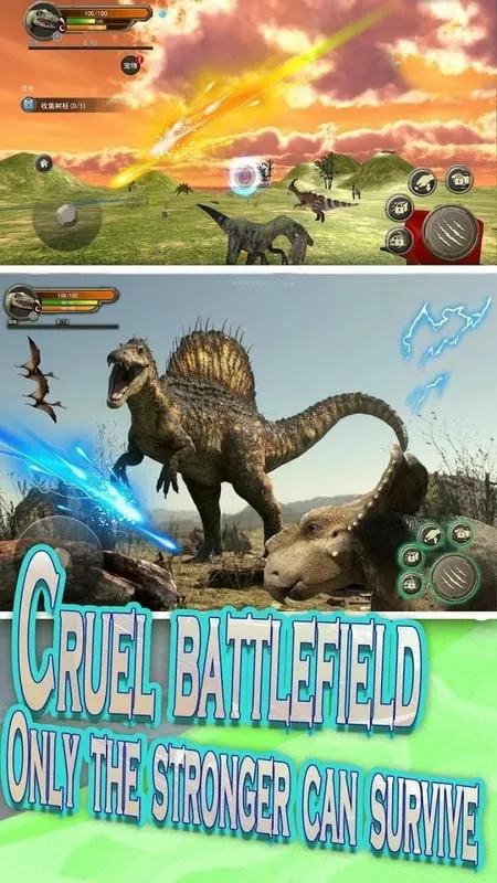 ������������޽����ʯ��