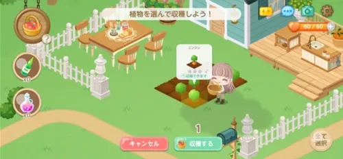 �����еĿɰ���԰(��԰��Ӫ��Ϸ)