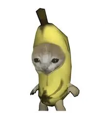 比比拉布(比比拉布平台)v1.0 手机版截图0