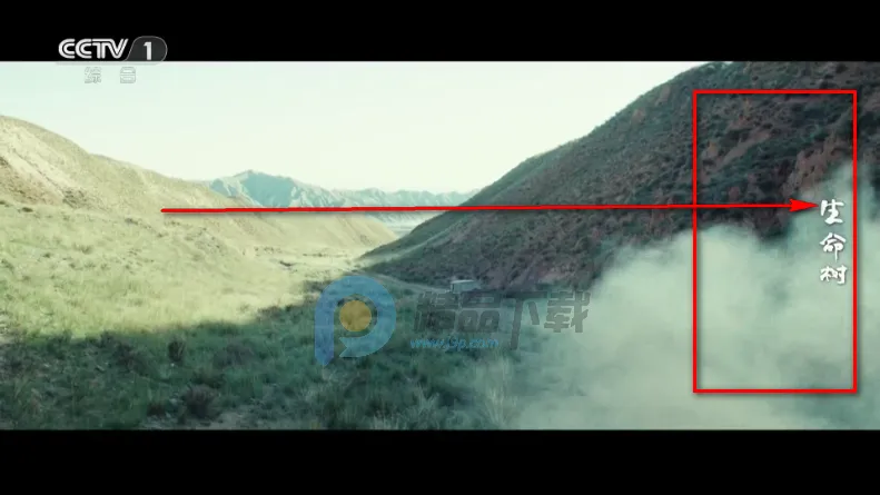 觅念电视TV最新手机版 觅念电视TV最新手机版