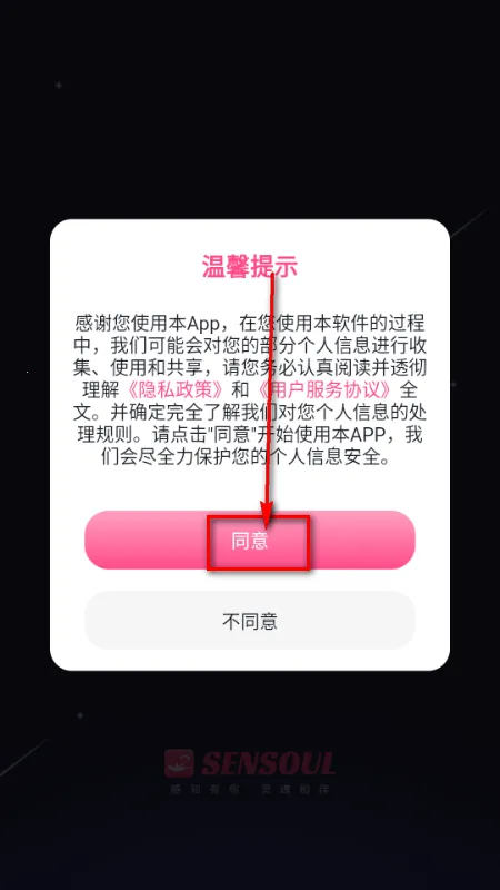 Sensoul AI����