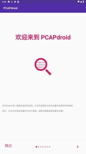 pcapdroid抓包工具2026下载安装v1.9.1 免费版截图4