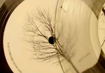 ȫ�����ֲ����������ֻ���