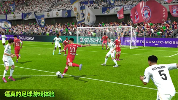 FIFA 222026最新版本v3.2.113645 免费版截图1