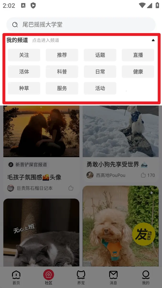 �����������ֻ���