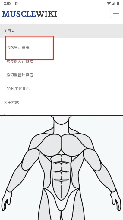 Muscle Wiki安卓版手机版v3.0.9 安卓版截图3