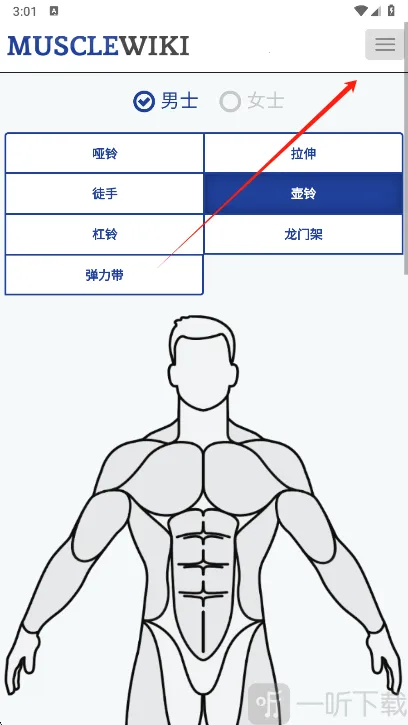 Muscle Wiki安卓版手机版 Muscle Wiki安卓版手机版