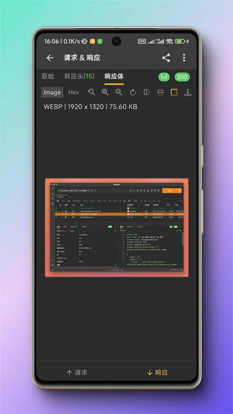 Reqable2026���°汾v3.0.39 ��Ѱ��ͼ2