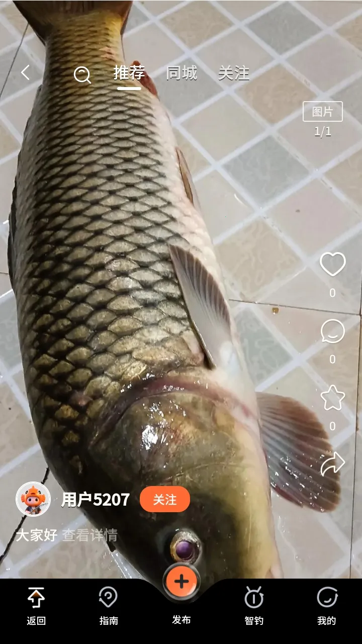 С����2026���ذ�װ