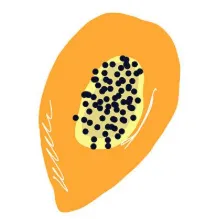 搜游记游戏盒2026最新版本 搜游记游戏盒2026最新版本