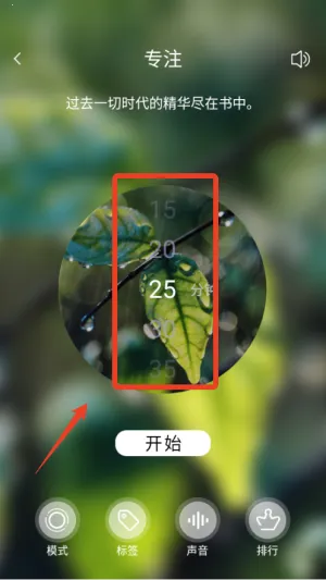 �߿�����ʱ2026�ٷ�����