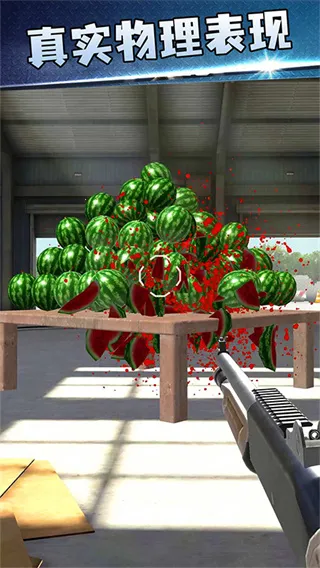 ǹ�����ս(���������Ϸ)