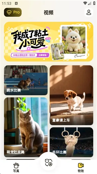 宠玩2026官方最新版本 宠玩2026官方最新版本