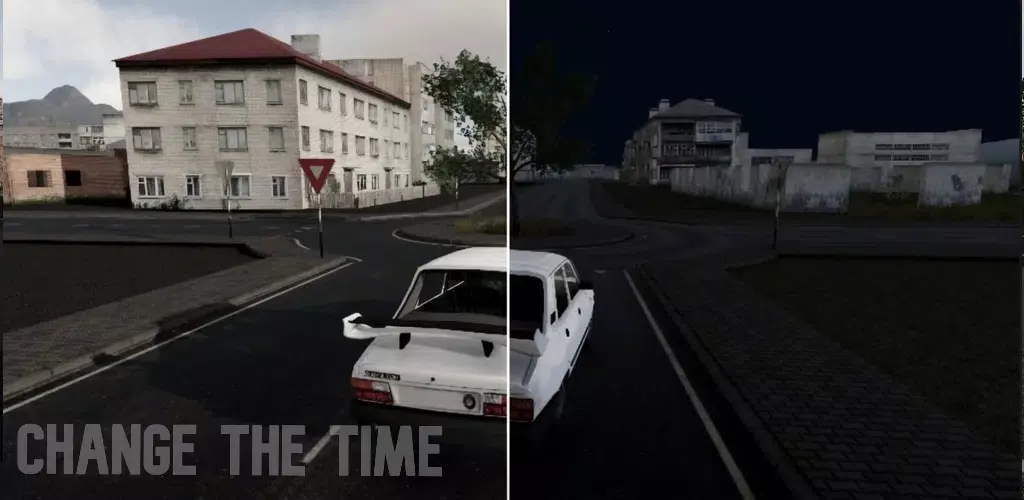 驾驶专家2无限货币版(驾驶模拟游戏)v0.85 安卓版截图1