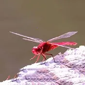 �����ѵ��Ӻ���2026�ٷ�����v1.0 �ֻ���