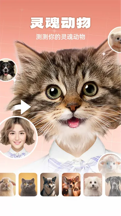 �����ﰲ׿���ֻ���v1.0 �ֻ����ͼ4