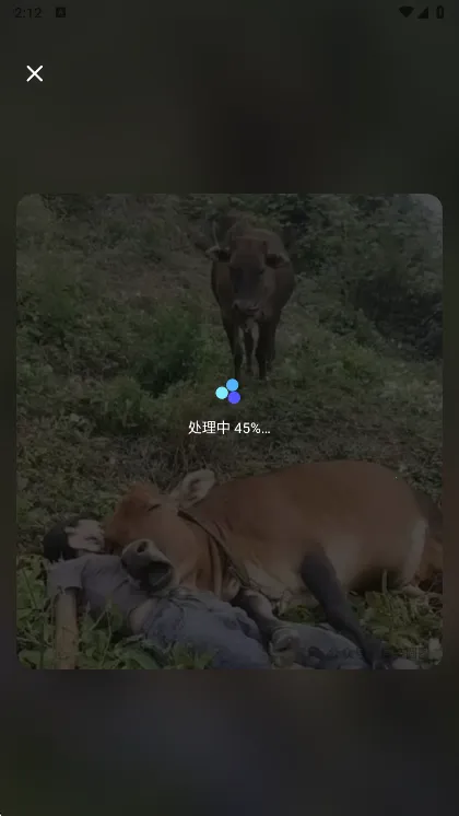 ����(�ֻ���ͼ����)