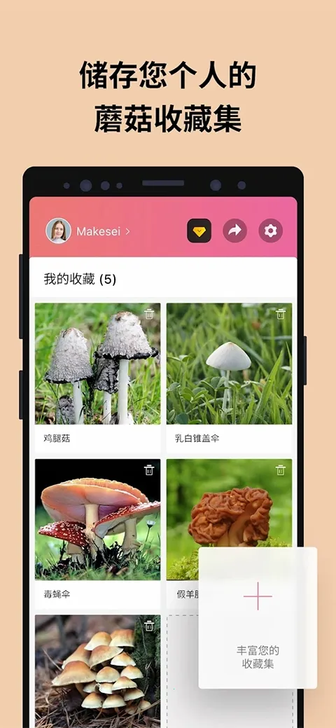 Picture Mushroom2026最新版本v2.9.30 安卓版截图0