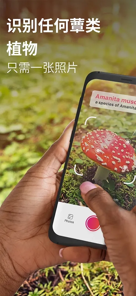 Picture Mushroom2026最新版本v2.9.30 安卓版截图1