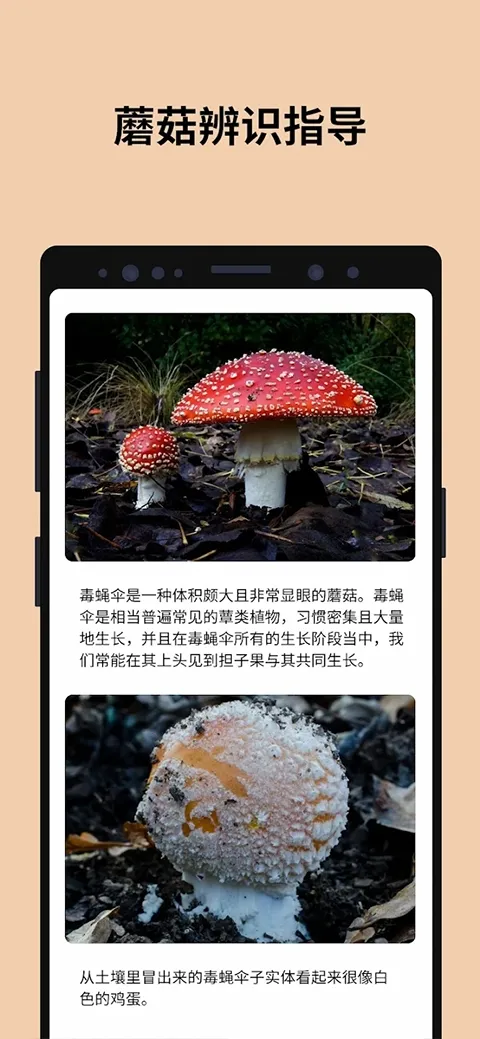 Picture Mushroom2026最新版本v2.9.30 安卓版截图2