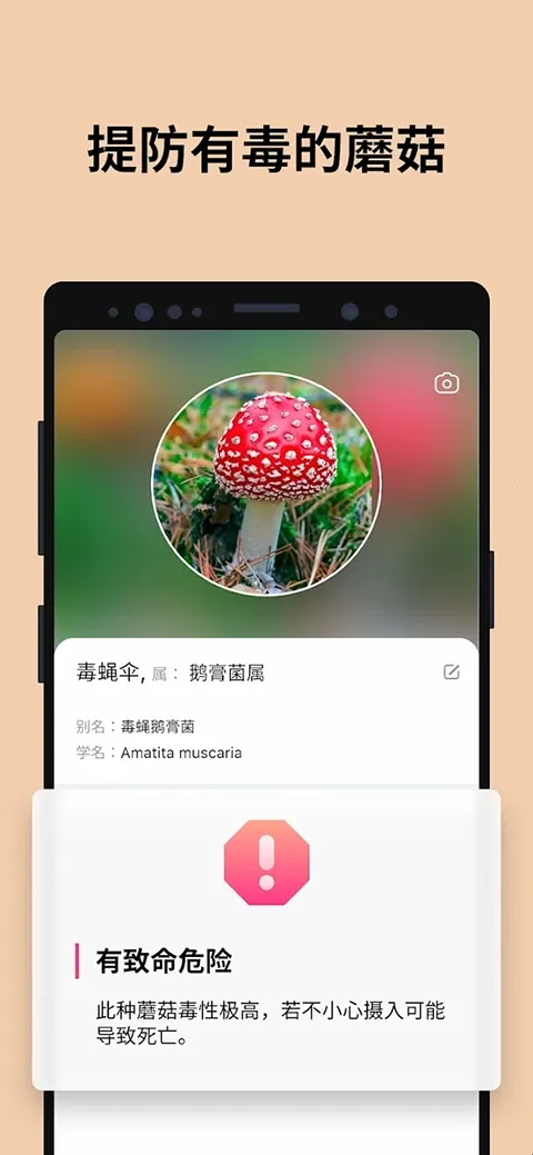 Picture Mushroom2026最新版本 Picture Mushroom2026最新版本