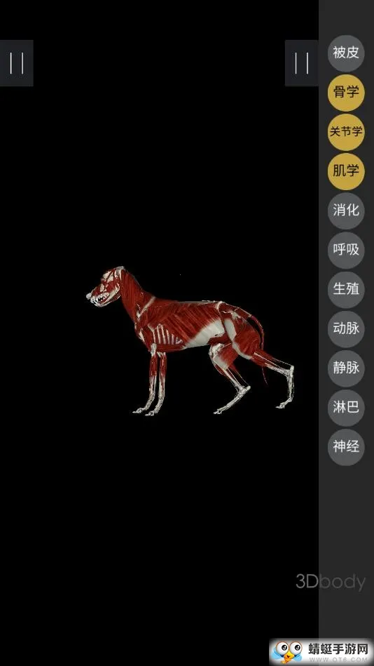 3dbody��������v8.8.91 ��׿���ͼ4