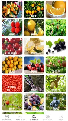 �౦��԰2026���ذ�װv2.6.7.3 �ٷ������ͼ1