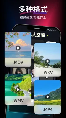 ������Ƶ��Ѳ�����(��Ƶ���Ź���)v1.0.0 �ٷ������ͼ3