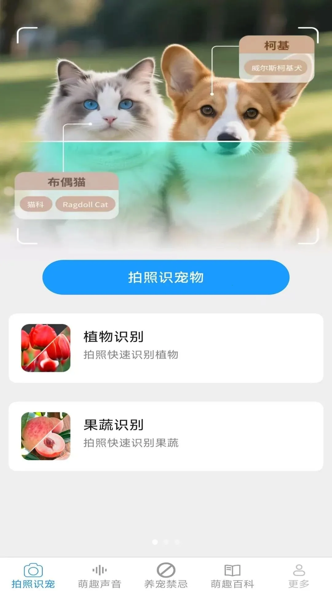 元气养宠最新手机版v2.6.6.3 手机版截图0