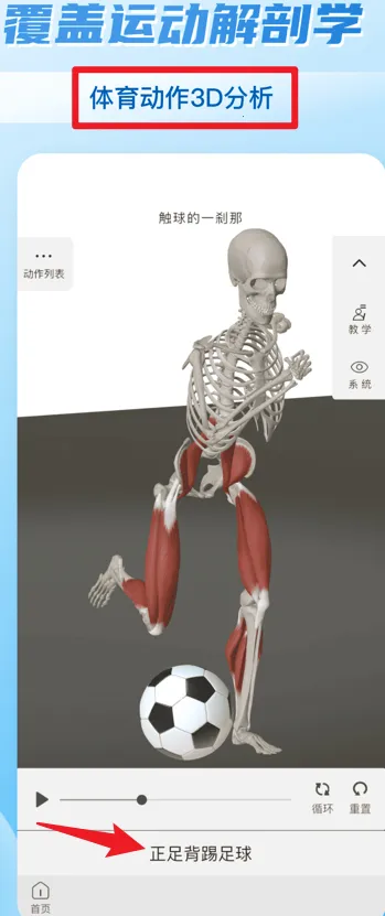 ά����3D����2026���ذ�װ