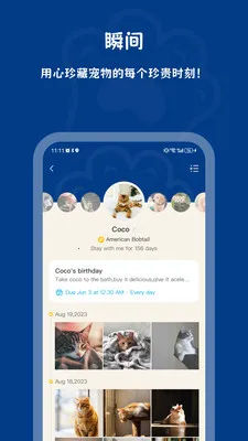 PawView(���������������)v1.0.0 �ֻ����ͼ4