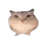 �ͰͲ�һ����(���滥������)v1.0 ��Ѱ�