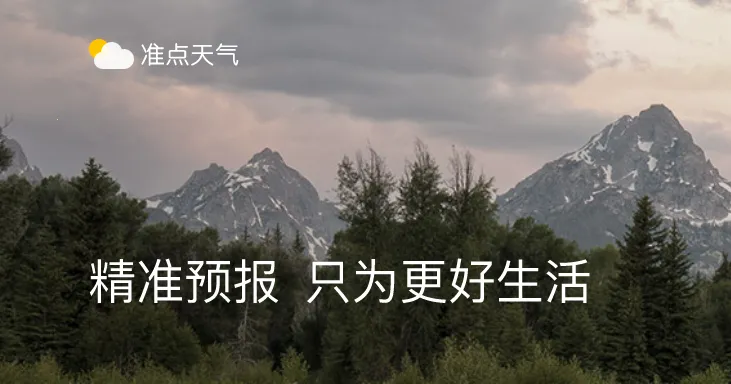 ׼������(��׼����Ԥ��)