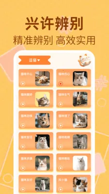 è�����﷭���������ֻ���v1.0.2 �ֻ����ͼ0