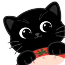 Focat2026���°汾v1.2.2 ��Ѱ�